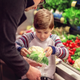 Illustration for article titled Obvious Nepotism: This 5-Year-Old Boy Was Just Appointed Grocery Shopping Helper By His Own Parents